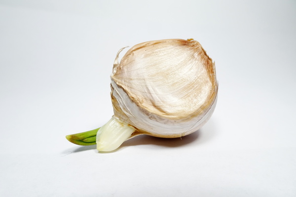 vitlök