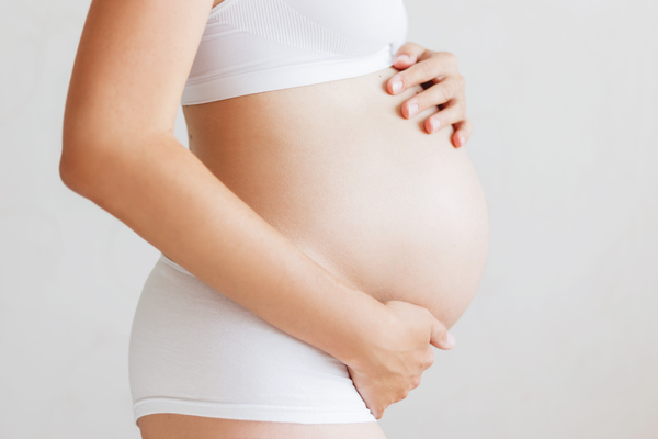 gravid