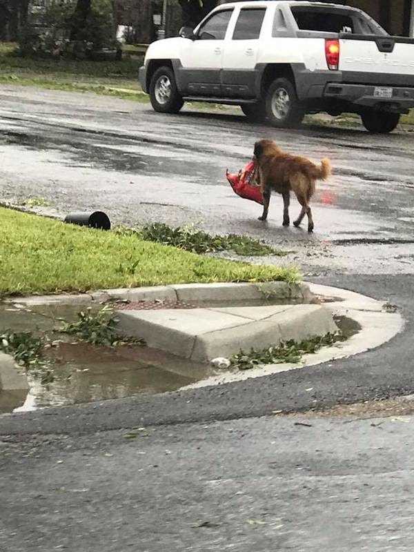 otis
