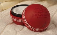 /d/n/r/cricket.jpg