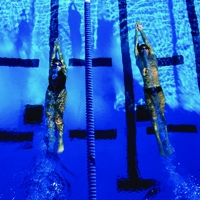/q/i/j/Swimming.jpg