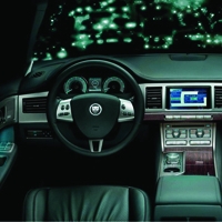 /y/b/v/Jaguar.jpg