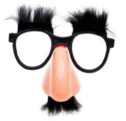 disguise