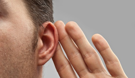 Ears