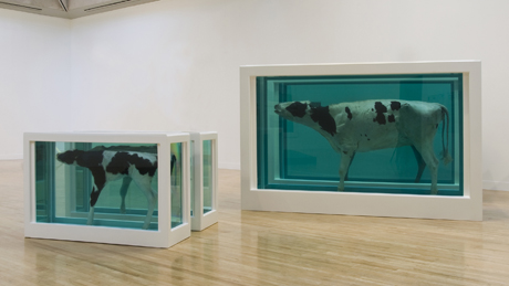 damien hirst