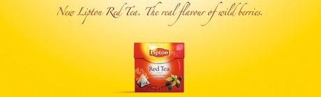 Lipton
