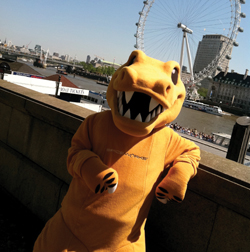 spicerex