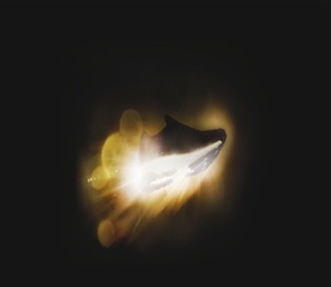 AdidasBoost-Product-2013_304