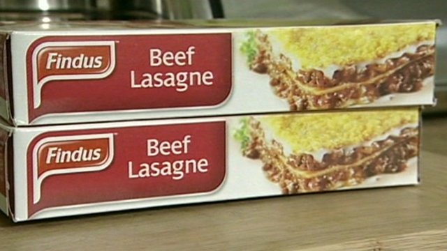 BeefLasagne-Findus-Product-2013