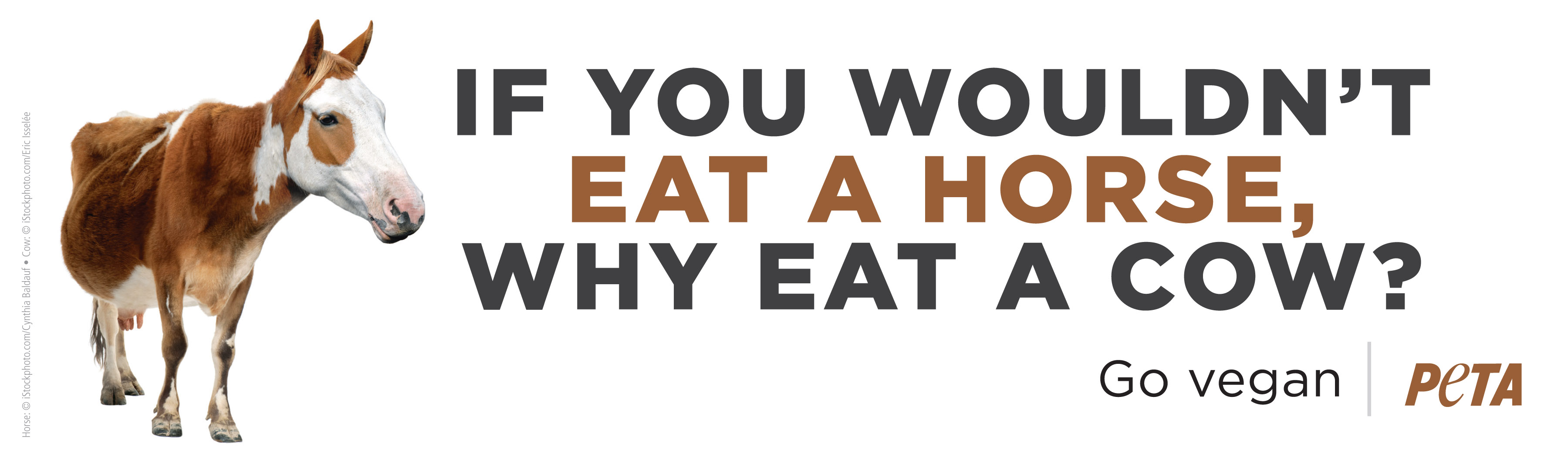 PETAhorsemeatad-Campaign-2013