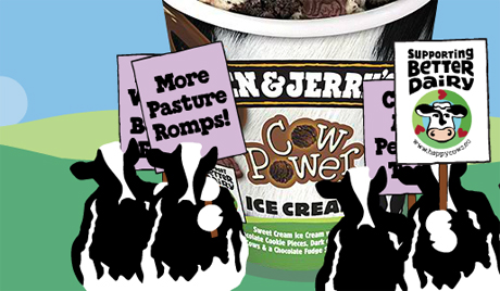 benjerrys-website-2013-460