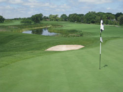 Golf-course-dan-perry-250