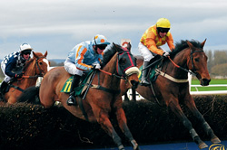 Horse-racing-Paolo-Camera-250