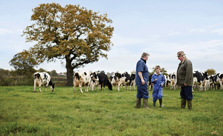 Sainsbury's Sustainability Plan