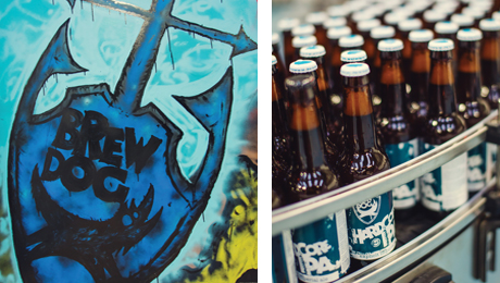 brewdog-products-2013-460