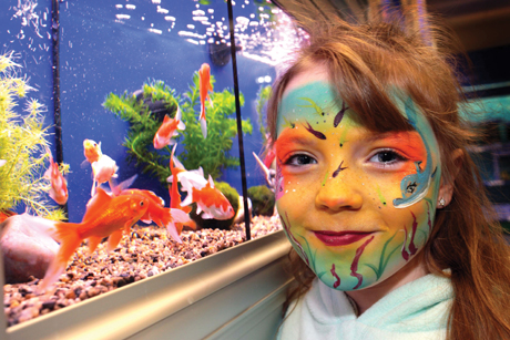 pets-at-home-fish-2014-460