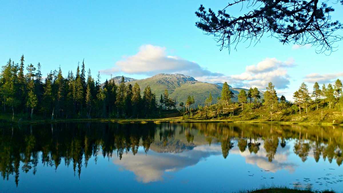 Elsker norsk natur