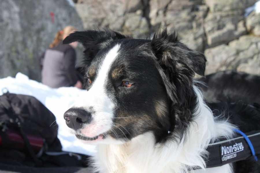 Preikestolen påsken 2012