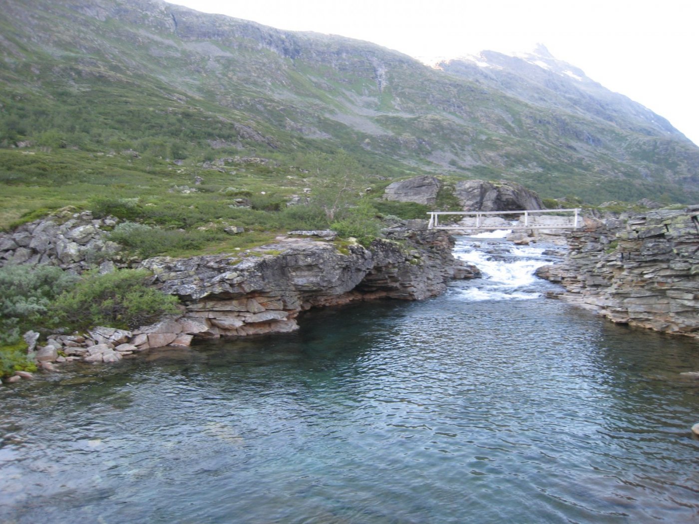 2BB5145F-F1E6-410D-8BA6-BB6A580CE09A.jpeg