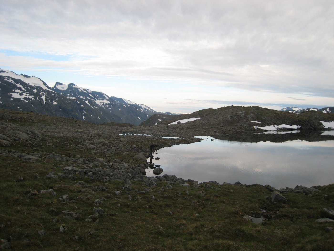 578495C6-B164-4802-A9D7-53D3A967361A.jpeg