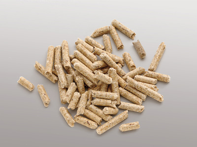 Festbrennstoffe & Pellets