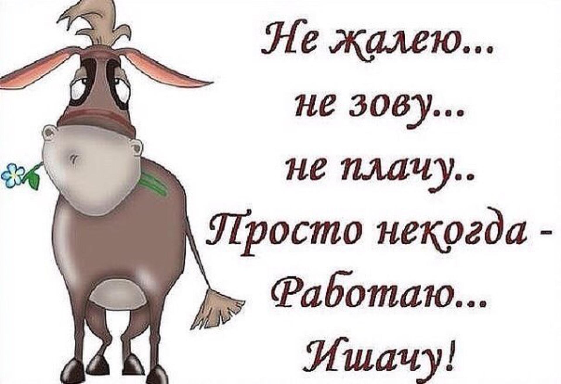 Открытки про работу в субботу Открытки про работу в субботу