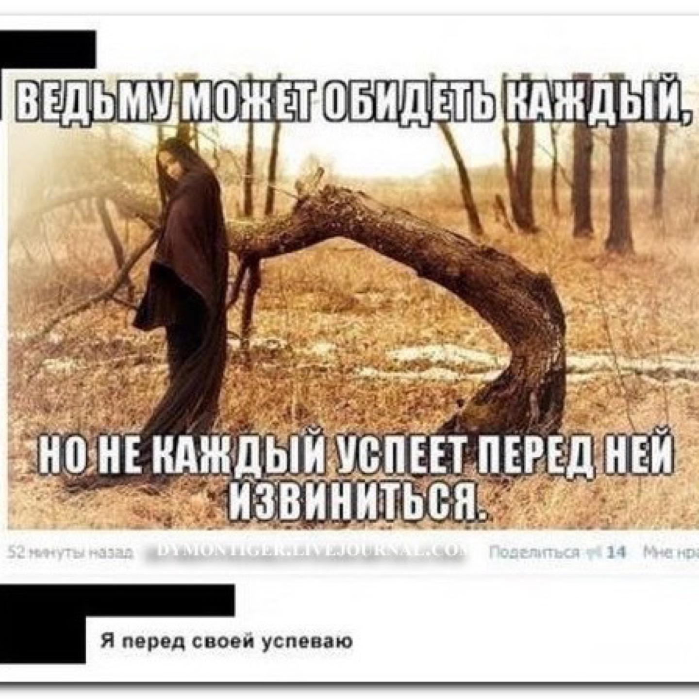 Цитаты и фразы про ведьм Цитаты и фразы про ведьм