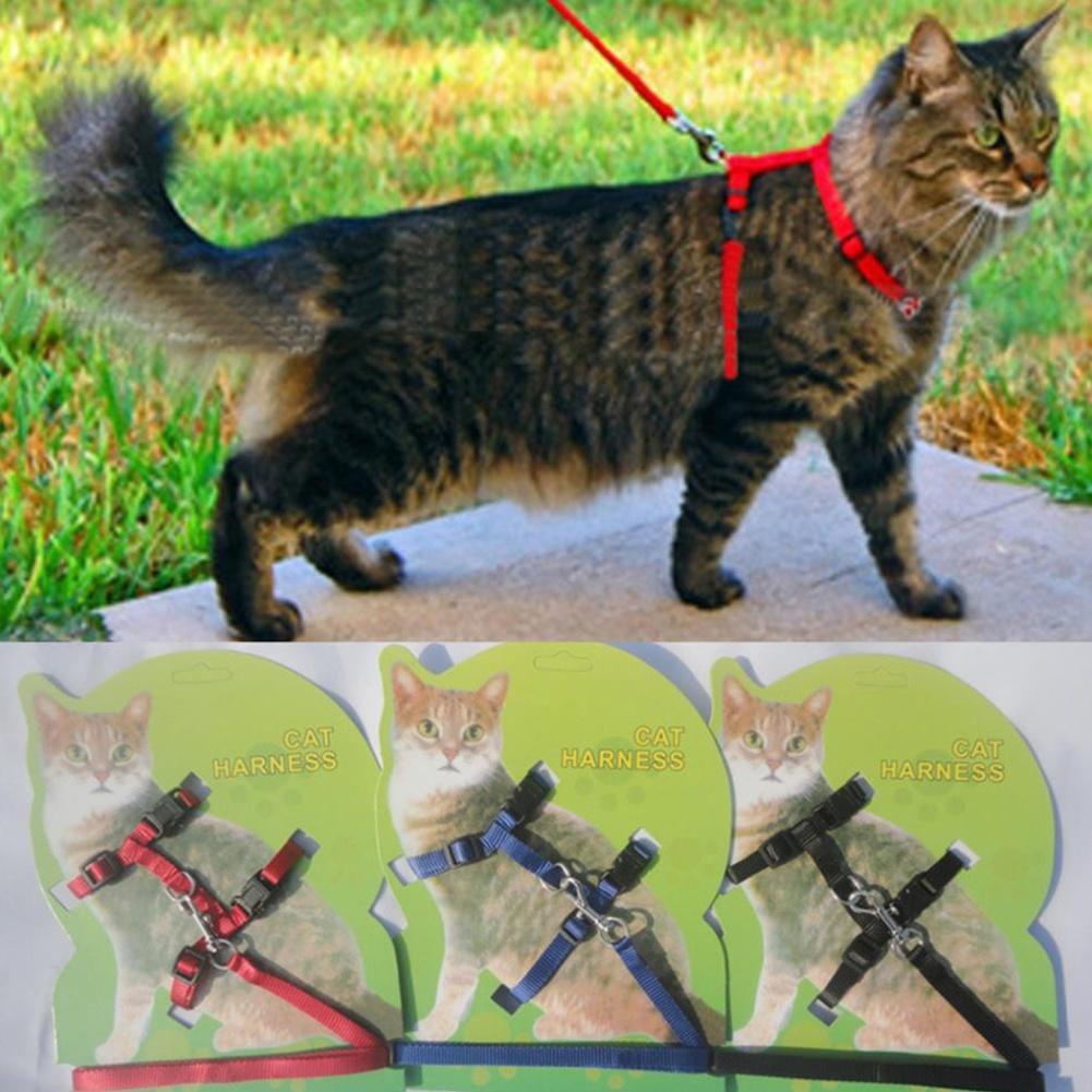 Шлейка для кошки из веревки Шлейка для кошки из веревки