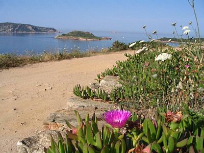 Appartement 2 slaapkamers, met jacuzzi