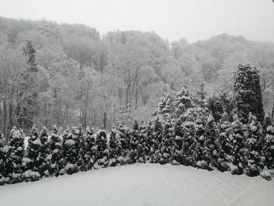 Wohnung 3 Schlafzimmer, mit Garten