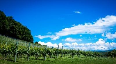 Ferienhaus 2 Schlafzimmer, mit Garten