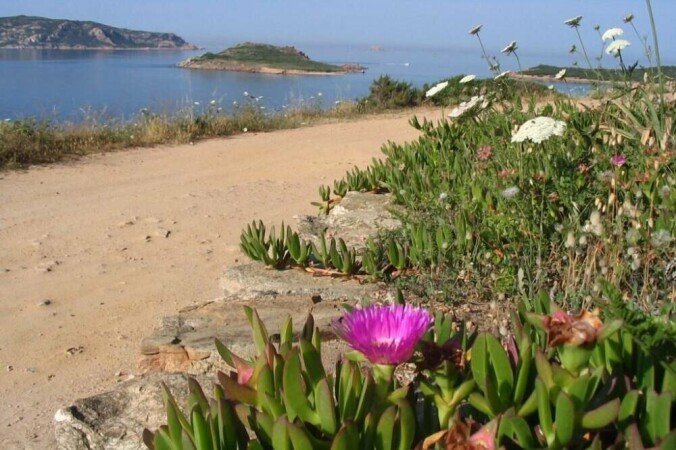 Appartement 2 slaapkamers, met jacuzzi
