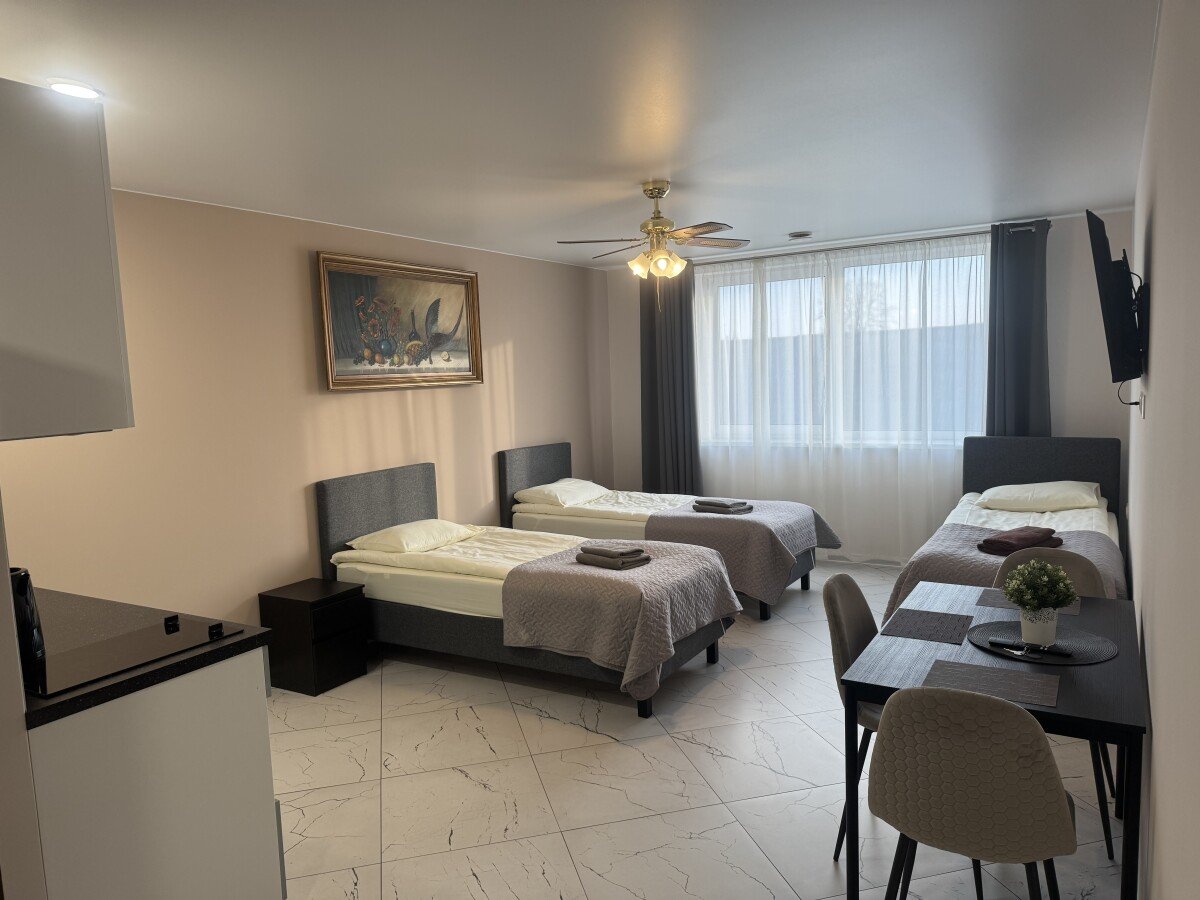 Aparthotel 1 Schlafzimmer, mit WLAN