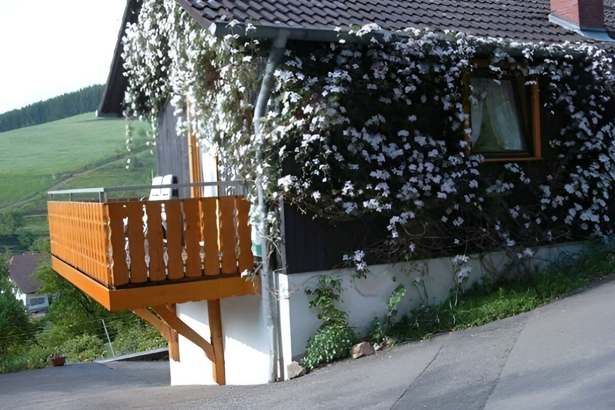Aparthotel 1 Schlafzimmer, mit Garten
