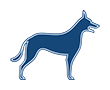 Spieren - Botten - Pezen