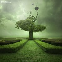 Daniele Russo