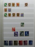 Bild #21