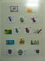 Bild #21