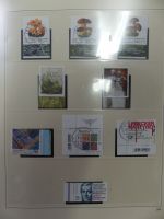 Bild #13