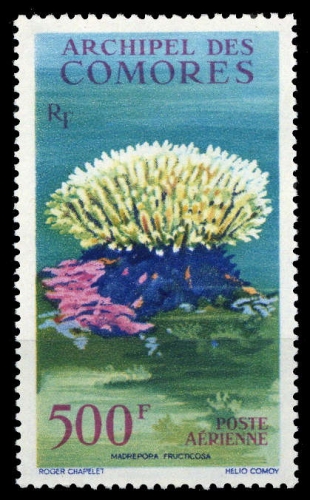 1962, Komoren, 48, **