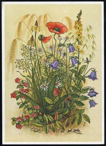 1939, III. Reich Propaganda,Veranstaltungen, ...
