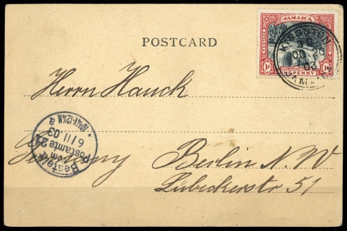 1900, Jamaica, 31, Brief