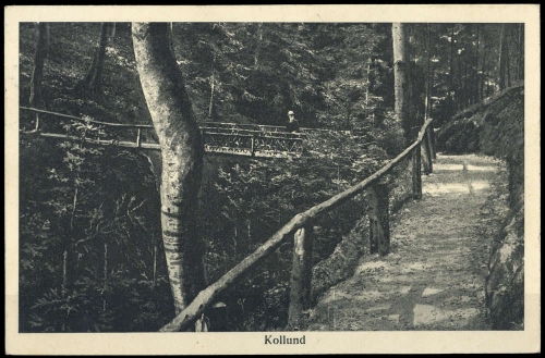 Dänemark, 224 (2), Brief