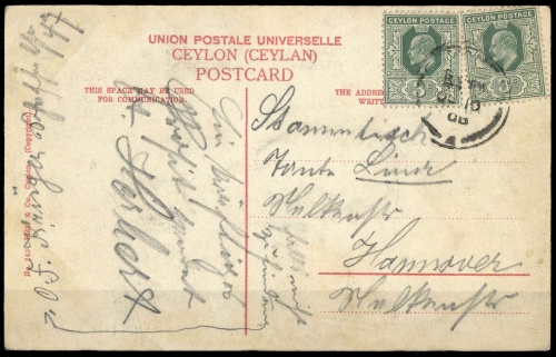 1904, Ceylon, 144 (2), Brief