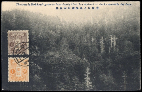 Japan, 99-100, Brief