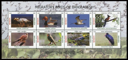 2013, Bangladesh, Block 51, **