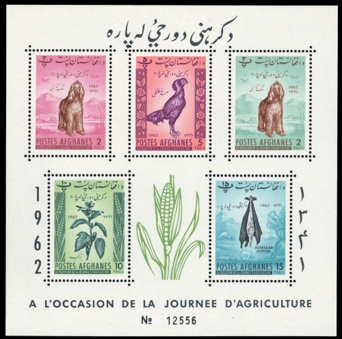 1962, Afghanistan, Block 22 A, **