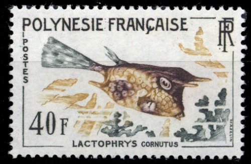 1962, Französisch Polynesien, 27, **