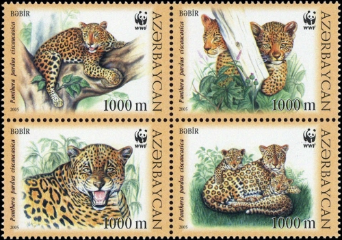 2005, Aserbeidschan, 592-95, **