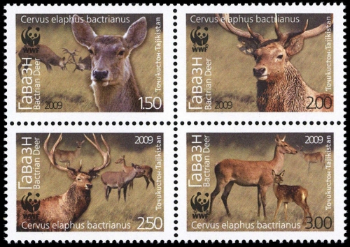 2009, Tadschikistan, 527-30, **